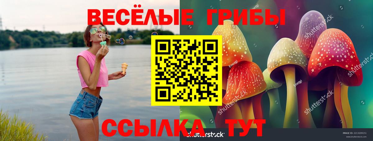 Краснокаменск  Псилоцибиновые грибы Psilocybe  Вход с VPN 
